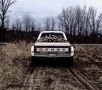 Dodge 1993 by Tyson Kappen